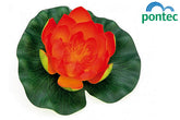 Pontec Pondo Lily orange - Ornamente de gradina iazuri-acvarii.ro